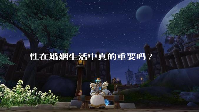 性在婚姻生活中真的重要吗?