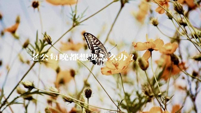 老公每晚都想要怎么办?