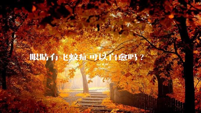 眼睛有飞蚊症可以自愈吗?