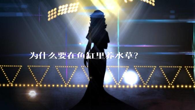 为什么要在鱼缸里养水草？