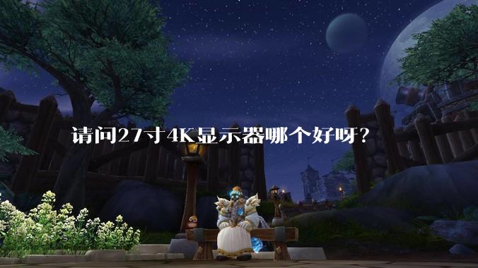 请问27寸4K显示器哪个好呀？