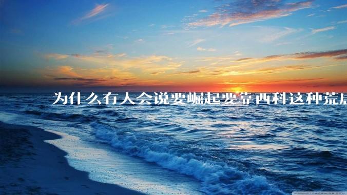 为什么有人会说要崛起要靠西科这种荒唐观点呢？
